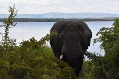 Rwanda, Afryka